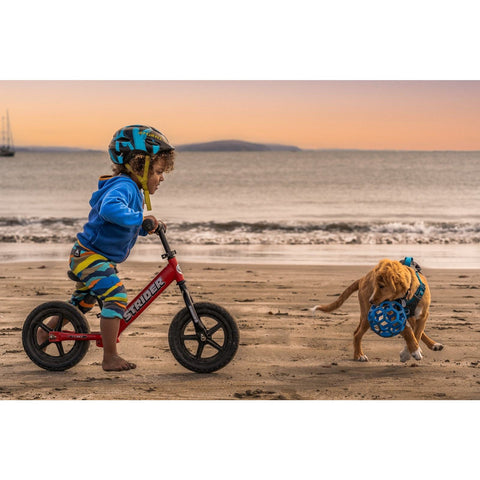 Strider 12" Sport Balance Bike