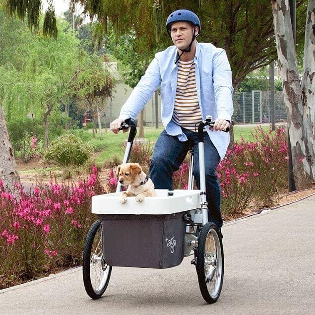 Taga 2.0 Family Cargo Electric Bike - Basic