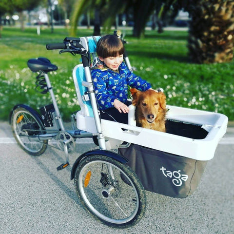Taga 2.0 Family Cargo Electric Bike - Single Seater