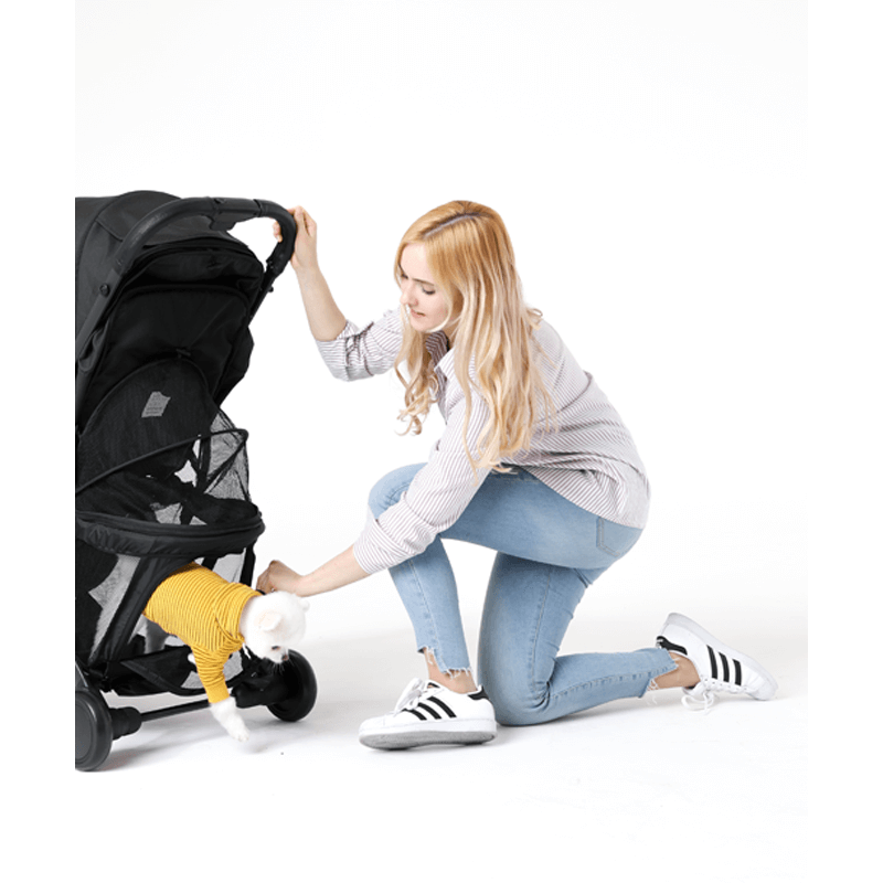 Keenz Air Plus Stroller