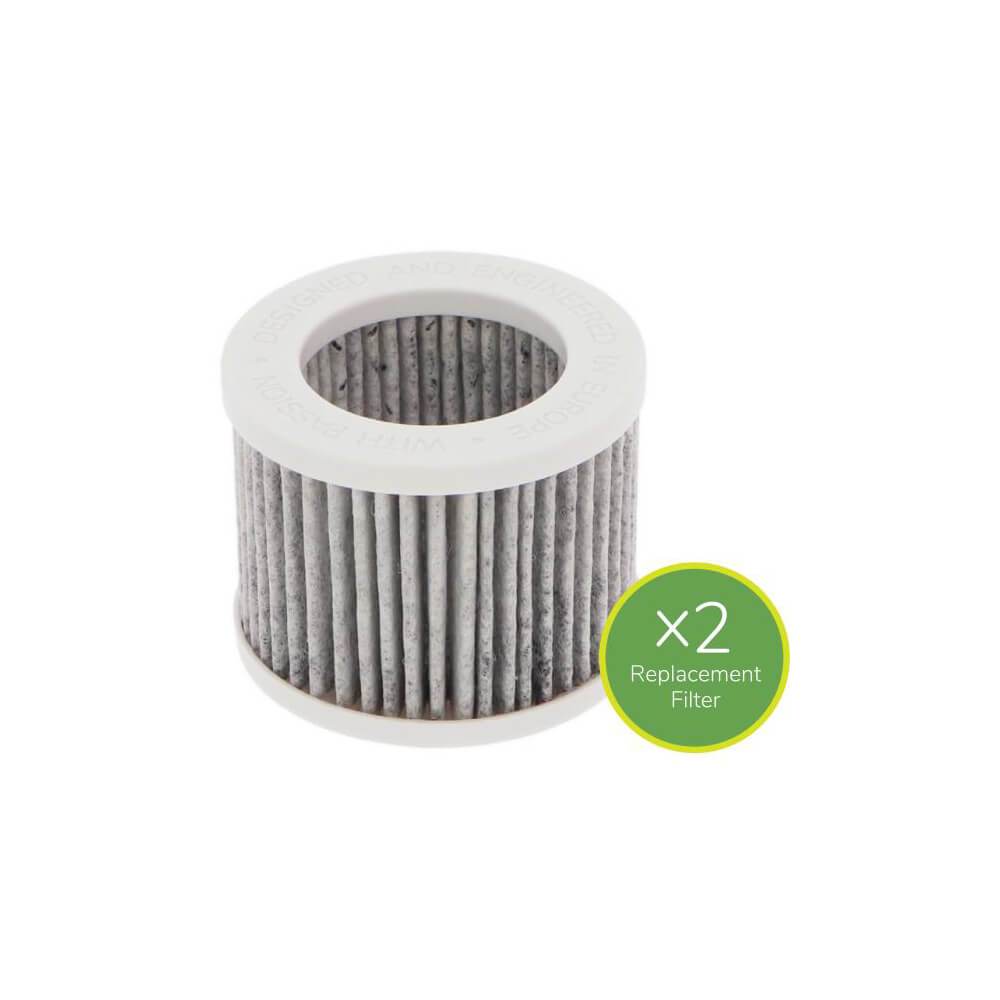 Bebcare Air Replacement Filter (2 Pack)